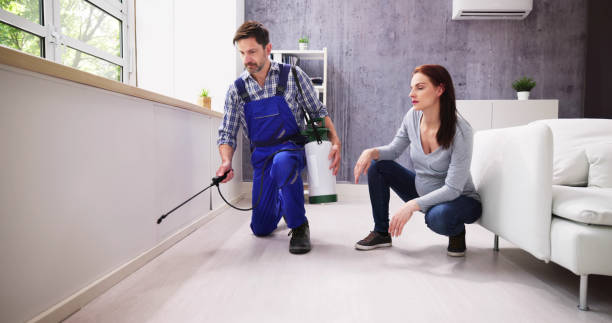 Best Indoor Pest Control  in Patchogue, NY